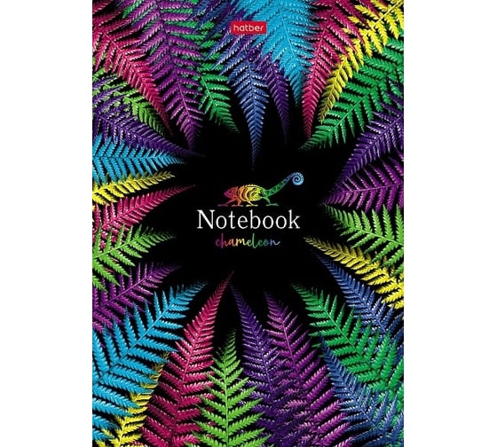 Изображение товара Бизнес-блокнот Hatber 96 л, А5, 145x210 мм, клетка/линия, твердый переплет, матовая ламинация, хамелеон, 20 шт в упаковке 075632