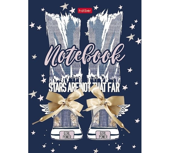 Изображение товара Бизнес-блокнот Hatber 160 л, А6, лайт клетка, интегральный переплет, girl power, 20 шт в упаковке 075768
