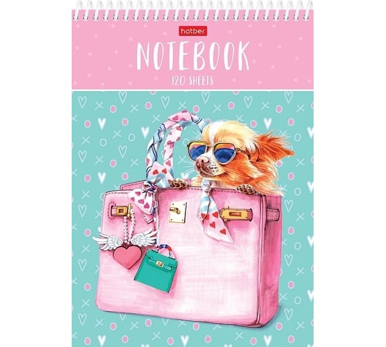 Изображение товара Блокнот Hatber Fashion dog-чихуахуа 120 л, А5, 5 цветов, тонированный блок без линовки, обложка мелованный картон, УФ-лак, 32 шт в упаковке 072378