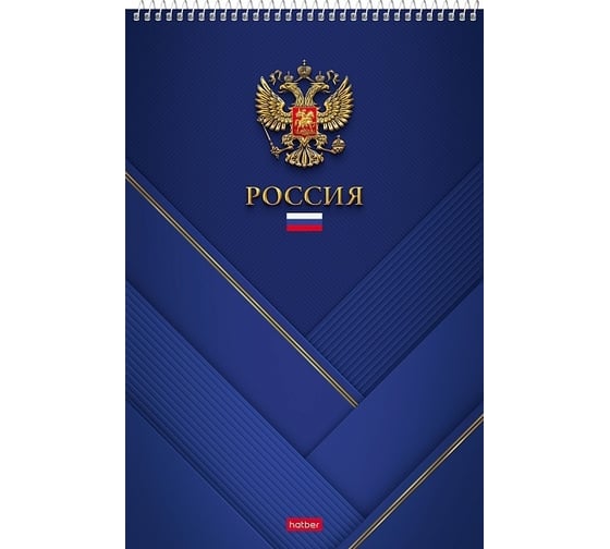 Изображение товара Блокнот Hatber 80 л, А4, клетка, обложка мелованный картон, УФ-лак, на спирали, 24 шт в упаковке 076931