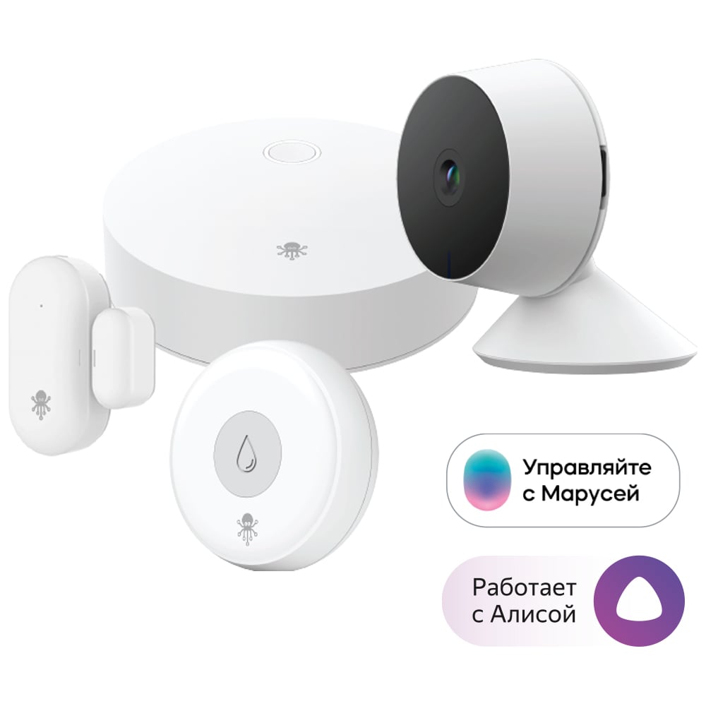 Изображение товара Комплект SLS "Наблюдение за квартирой" SLS-BOX-HOMECTR