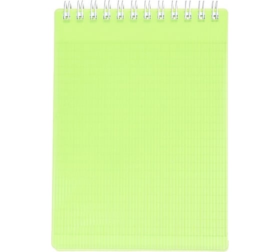 Изображение товара Блокнот Hatber LINE NEON 80 л, А6, клетка, зеленый, 48 шт в упаковке 081515