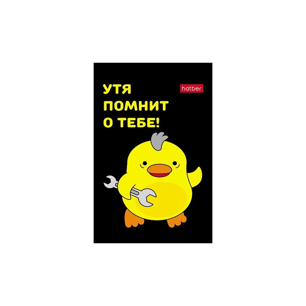 Изображение товара Блокнот Hatber УтяКря А7 48 листов клетка