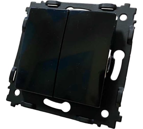 Изображение товара 2 клавишный выключатель Econ камелия, 10А, антрацит, без рамки, K002BA