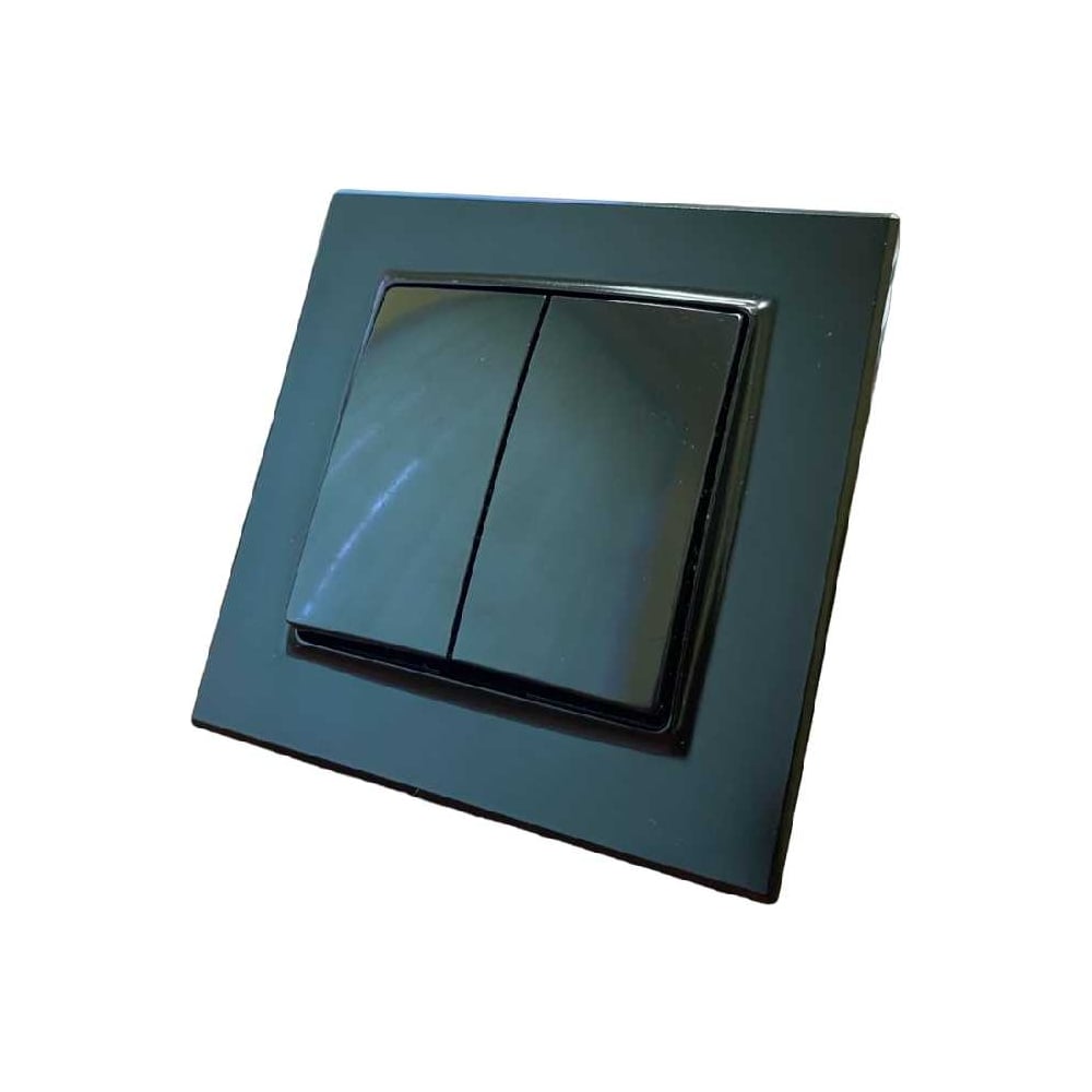 Изображение товара 2 клавишный выключатель Econ камелия, 10А, антрацит, K002A