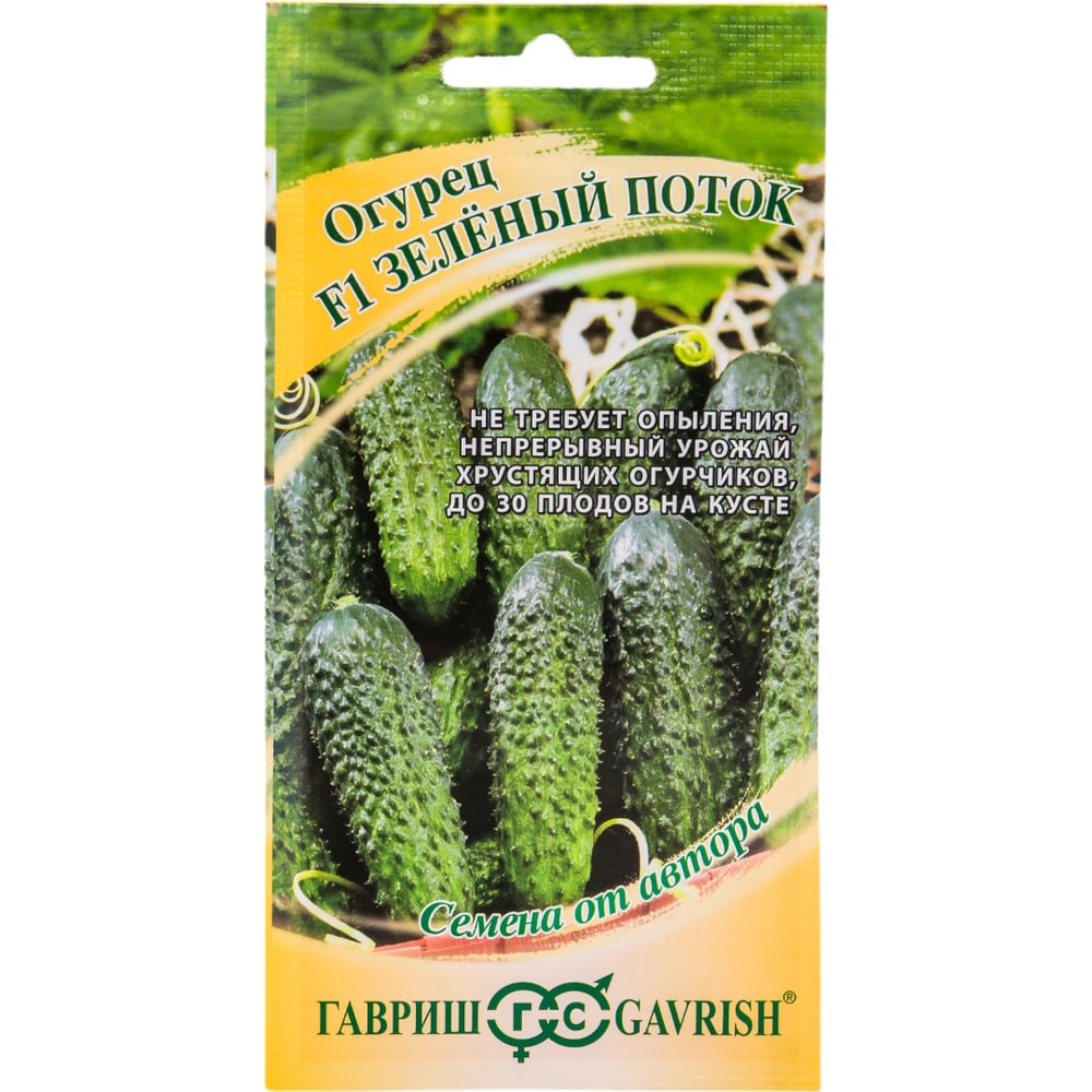 Семена ГАВРИШ 1910214016