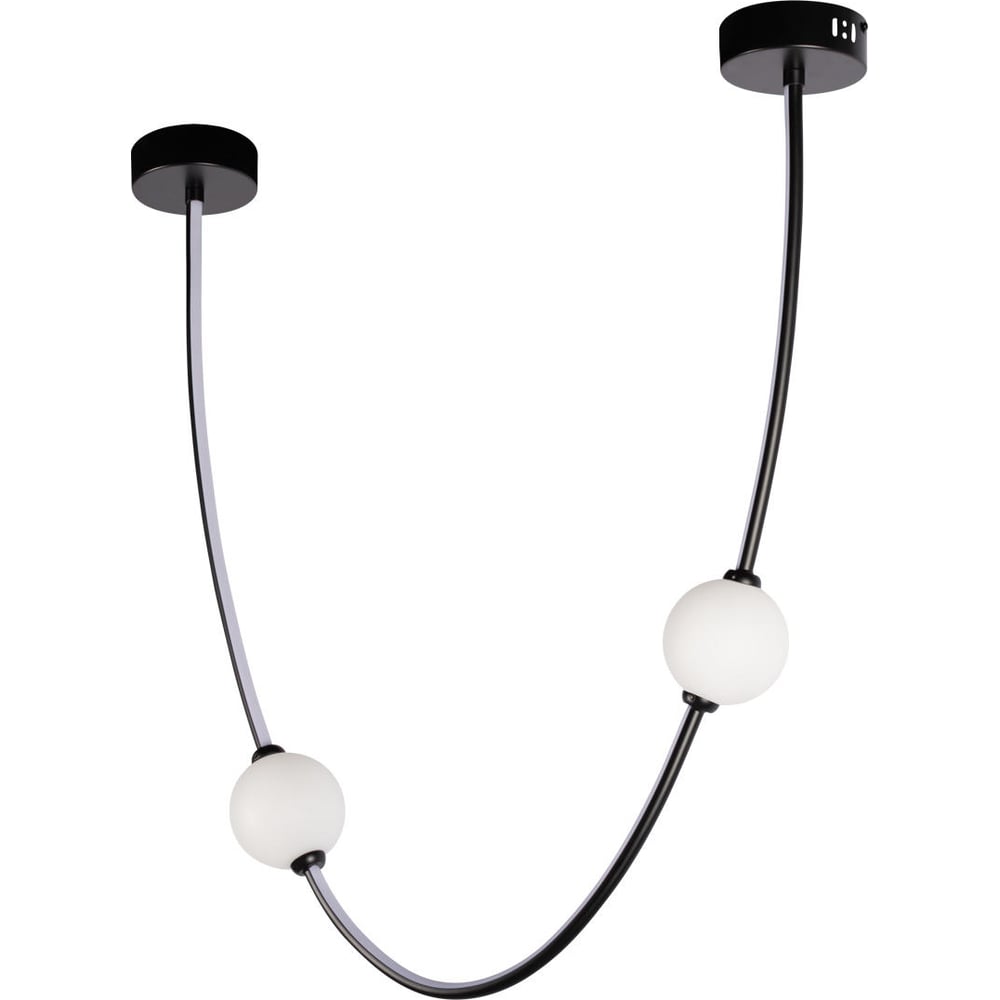Подвесной светильник LOFT IT Embrace 10242/600 Black