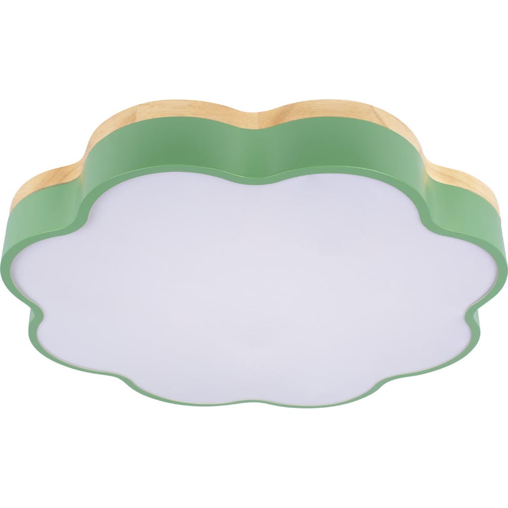 Изображение товара Потолочный светильник LOFT IT Axel 10225/36 Green