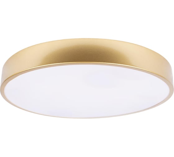 Изображение товара Потолочный светильник LOFT IT Flims 10228/A