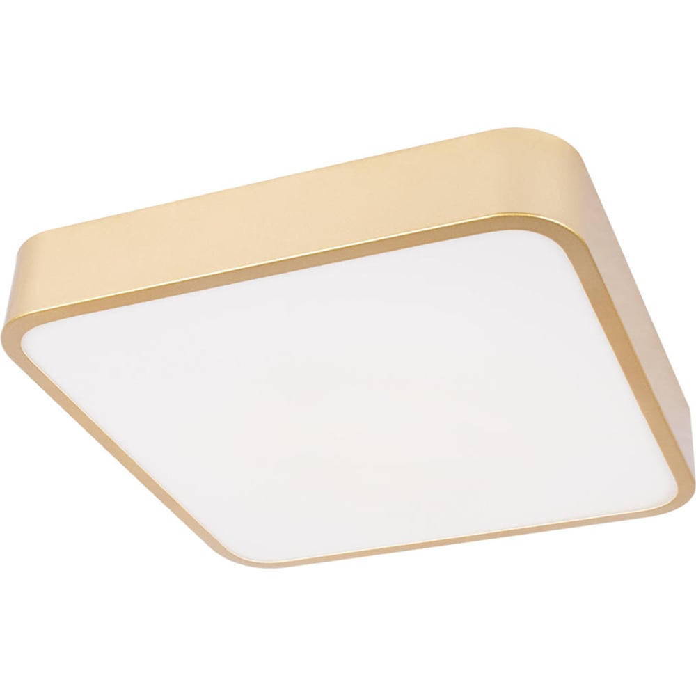 Изображение товара Потолочный светильник LOFT IT Flims 10228/C стильный светодиодный дизайн