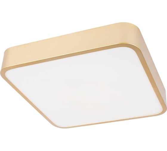 Изображение товара Потолочный светильник LOFT IT Flims 10228/C