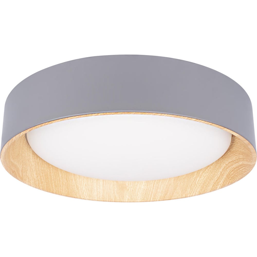 Изображение товара Потолочный светильник LOFT IT Coin 10202 Grey