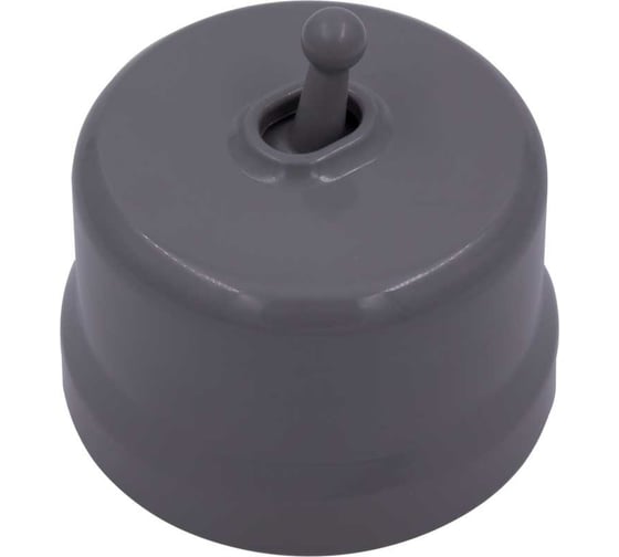 Изображение товара 1-клавишный выключатель Bironi, пластик, цвет Титан (тумблерный) B1-230-26