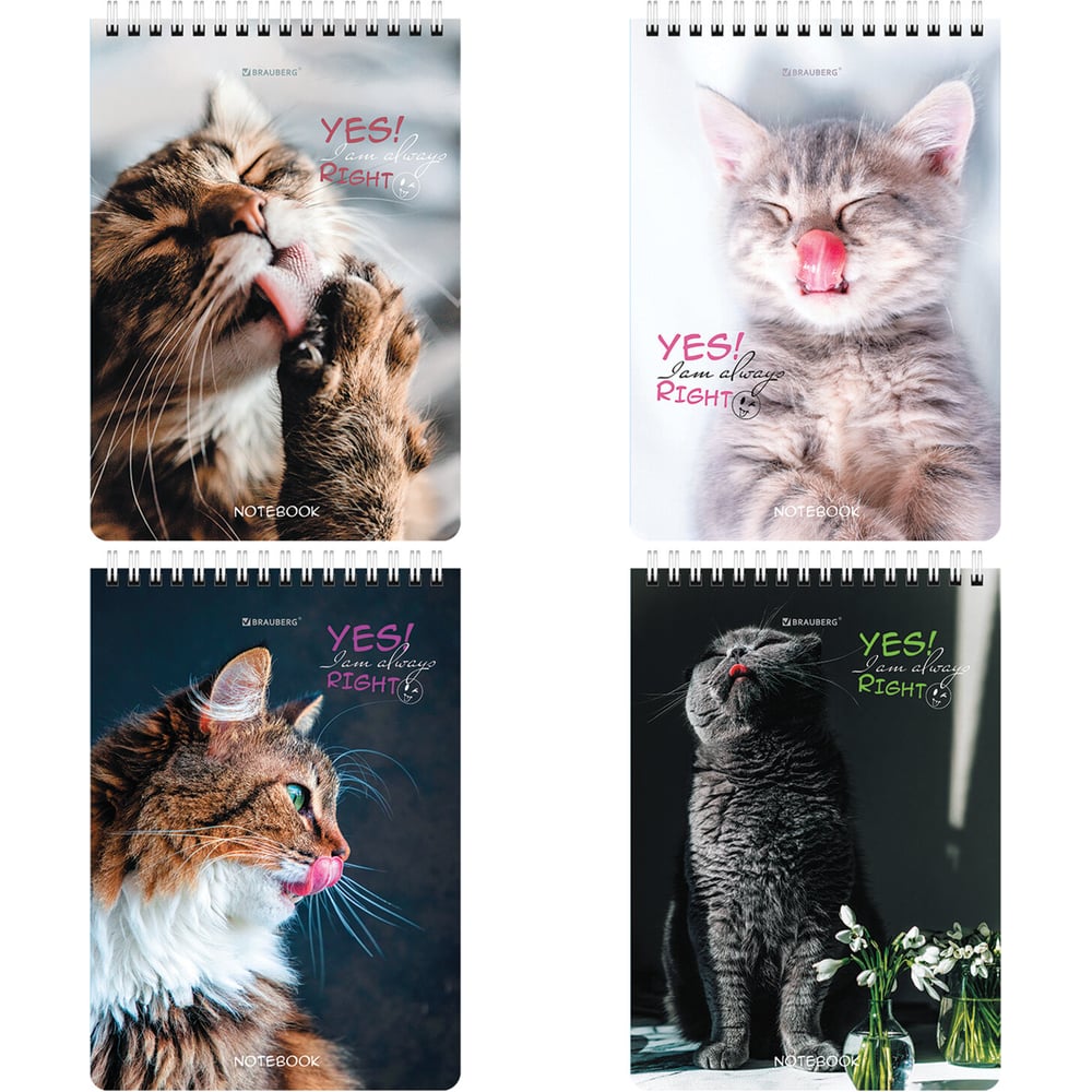 Изображение товара Блокнот BRAUBERG А5 80 листов с клеткой и пружинным переплётом