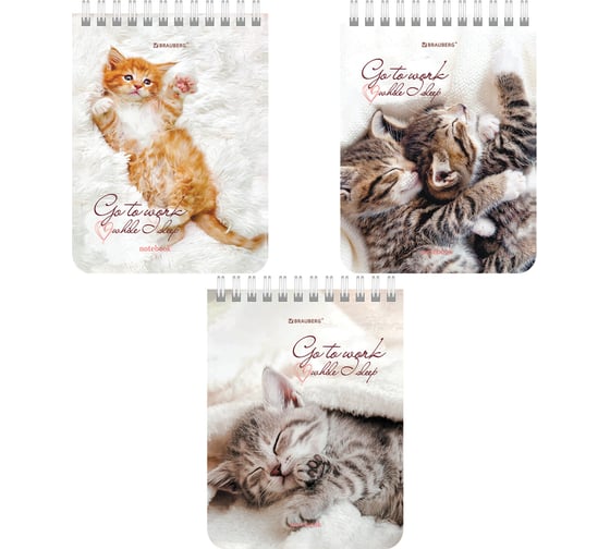 Изображение товара Блокнот Малый Формат 108x145 мм А6 BRAUBERG, 40 листов, гребень, картон, клетка, Милые котята 6 шт 114391