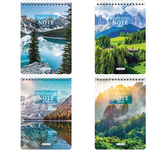 Изображение товара Блокнот А5 BRAUBERG 146x206 мм, 60 листов, гребень, картон, жесткая подложка, клетка, Горные пейзажи 4 шт 114367