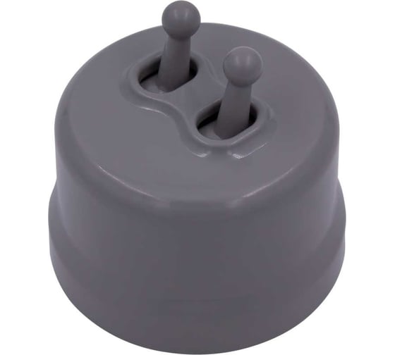 Изображение товара Кнопка Bironi (двухтумблерная), пластик, цвет Титан B1-232-26-PB