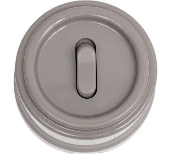 Изображение товара Кнопка Bironi (одноклавишная), пластик, цвет Титан B1-220-26-PB