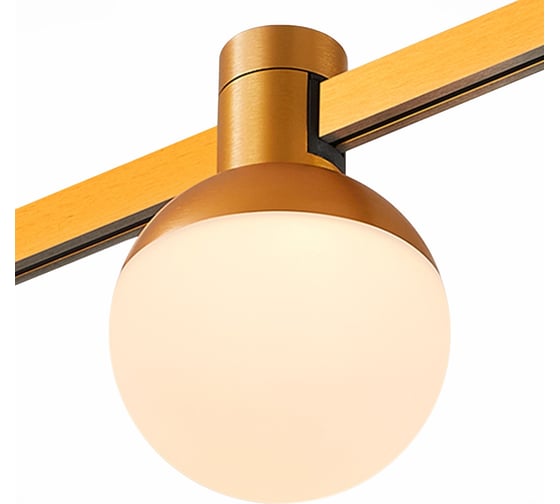 Изображение товара Магнитный трековый светильник ST LUCE FARM ST815.206.05