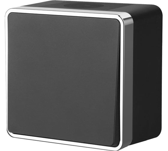 Изображение товара Одноклавишный влагозащищенный выключатель WERKEL Gallant черный хром W5010235 a050971