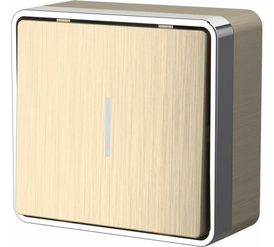 Изображение товара Одноклавишный выключатель с подсветкой WERKEL Gallant шампань рифленый W5010110 a051042