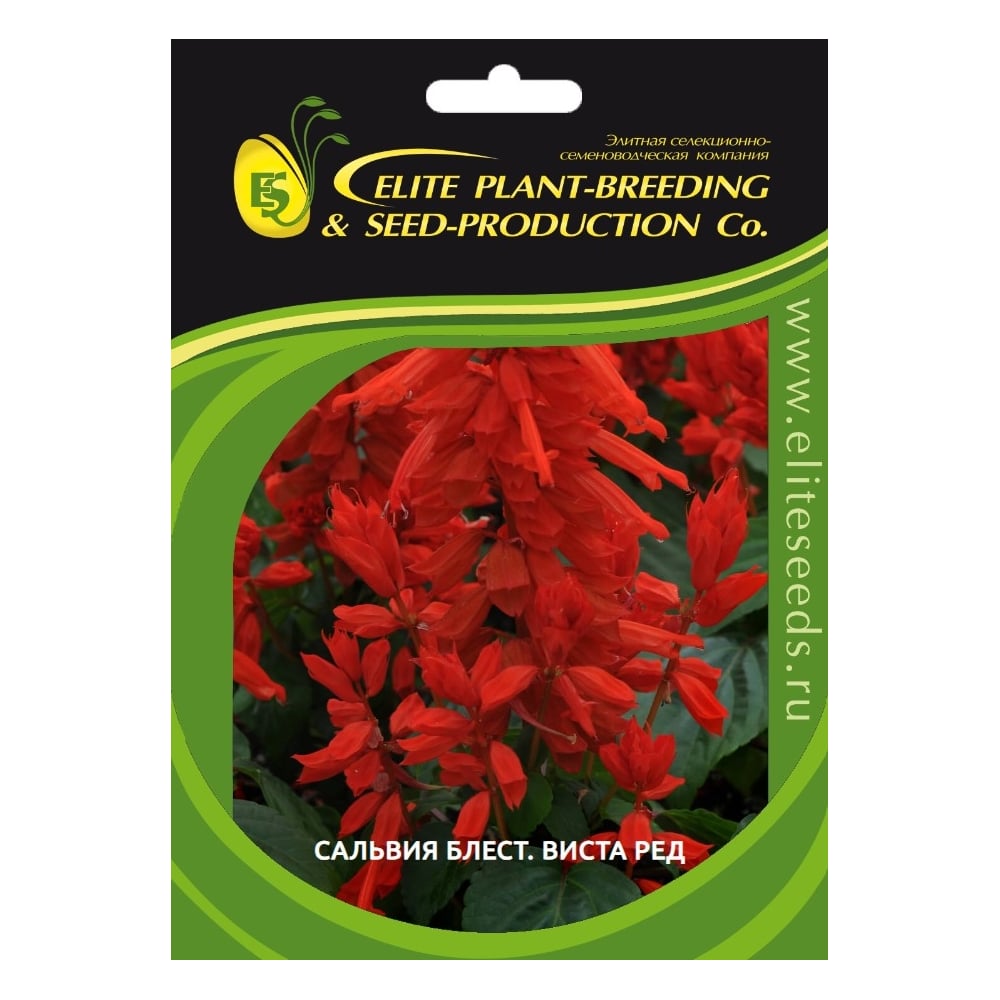Семена ELITE PLANT-BREEDING & SEED PRODUCTION Co. Сальвия блестящая виста ред 500 шт эс 1026994196