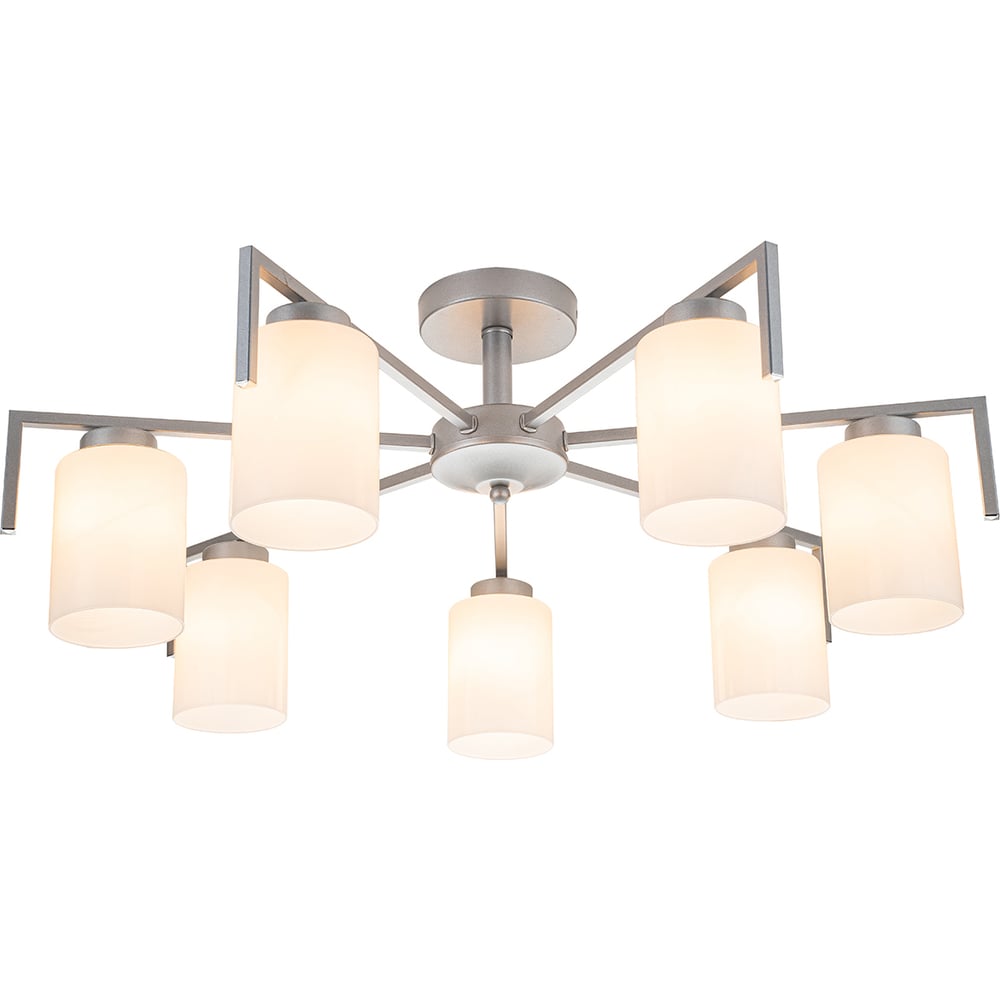 Изображение товара Светильник на штанге ESCADA 1142/7P E27*60W Silver 1142/7P Silver Изображение товара Светильник на штанге ESCADA 1142/7P E27*60W Silver 1142/7P Silver