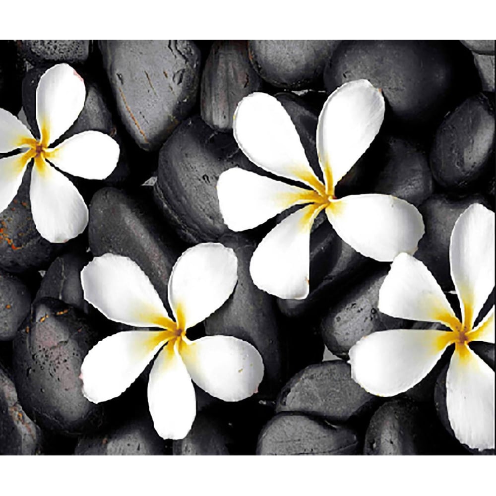 Изображение товара Залзел штора для ванной с фотопринтом цветов 180х200 черная