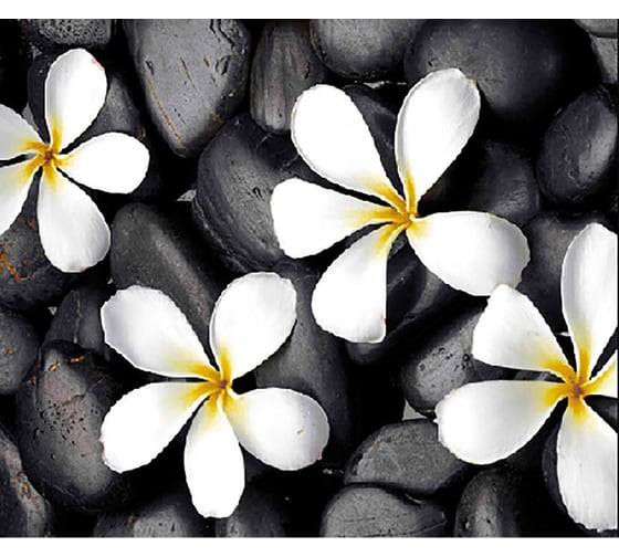 Изображение товара Штора для ванной Zalel фотопринт, 180x200, цветы, без колец z-003 553276