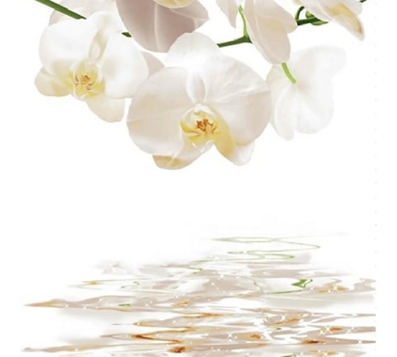 Изображение товара Штора для ванной Zalel фотопринт, 180x200, орхидеи,без колец dx-130 553275