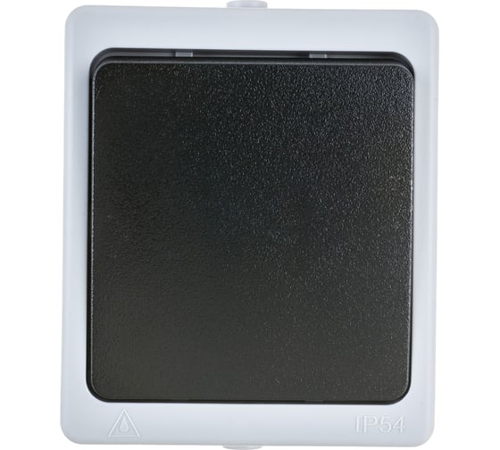 Изображение товара Одноклавишный переключатель STEKKER открытой установки однополюсный на два направления, 250В, 10А 32756