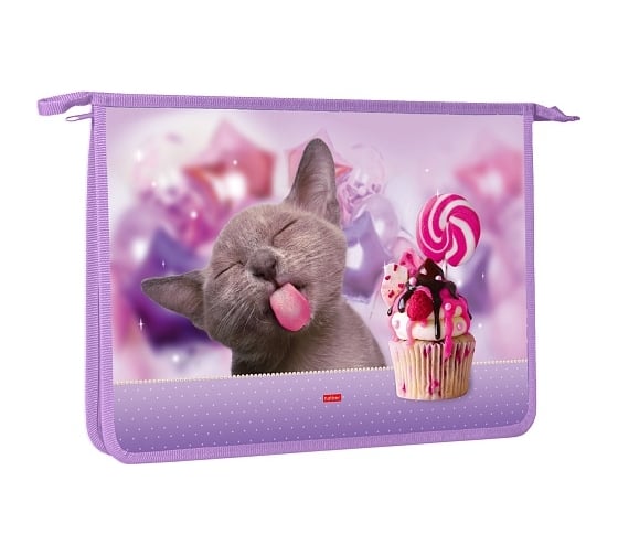 Изображение товара Папка для тетрадей Hatber пластиковая, А4, 2 отделения, 240x340x75 мм, на молнии, Замурчательно, 12 шт. 079282