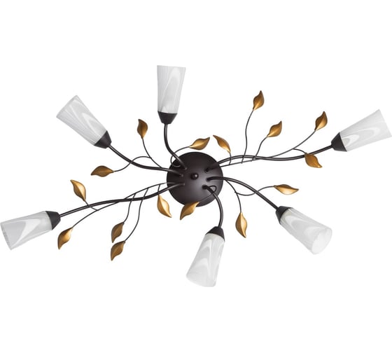 Изображение товара Люстра MW LIGHT 242015206 Восторг 6*60W E14 220 V