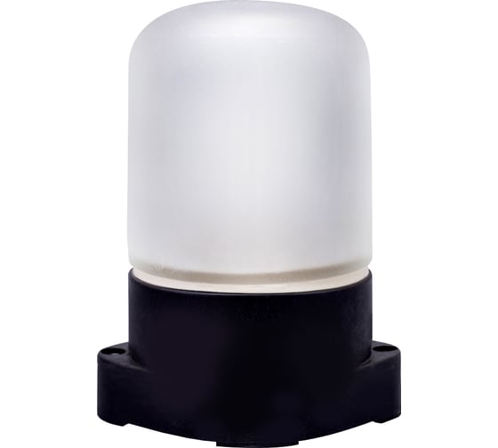 Изображение товара Светильник Camelion 1501 цвет черный до 125 ос (нпб-400 ксс-001 230в 60вт) 15261