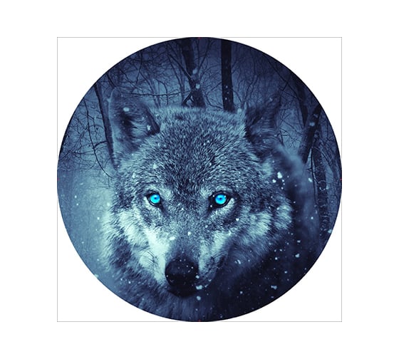 Изображение товара Чехол запасного колеса SKYWAY волк R16/17 экокожа полиэстер S06301029