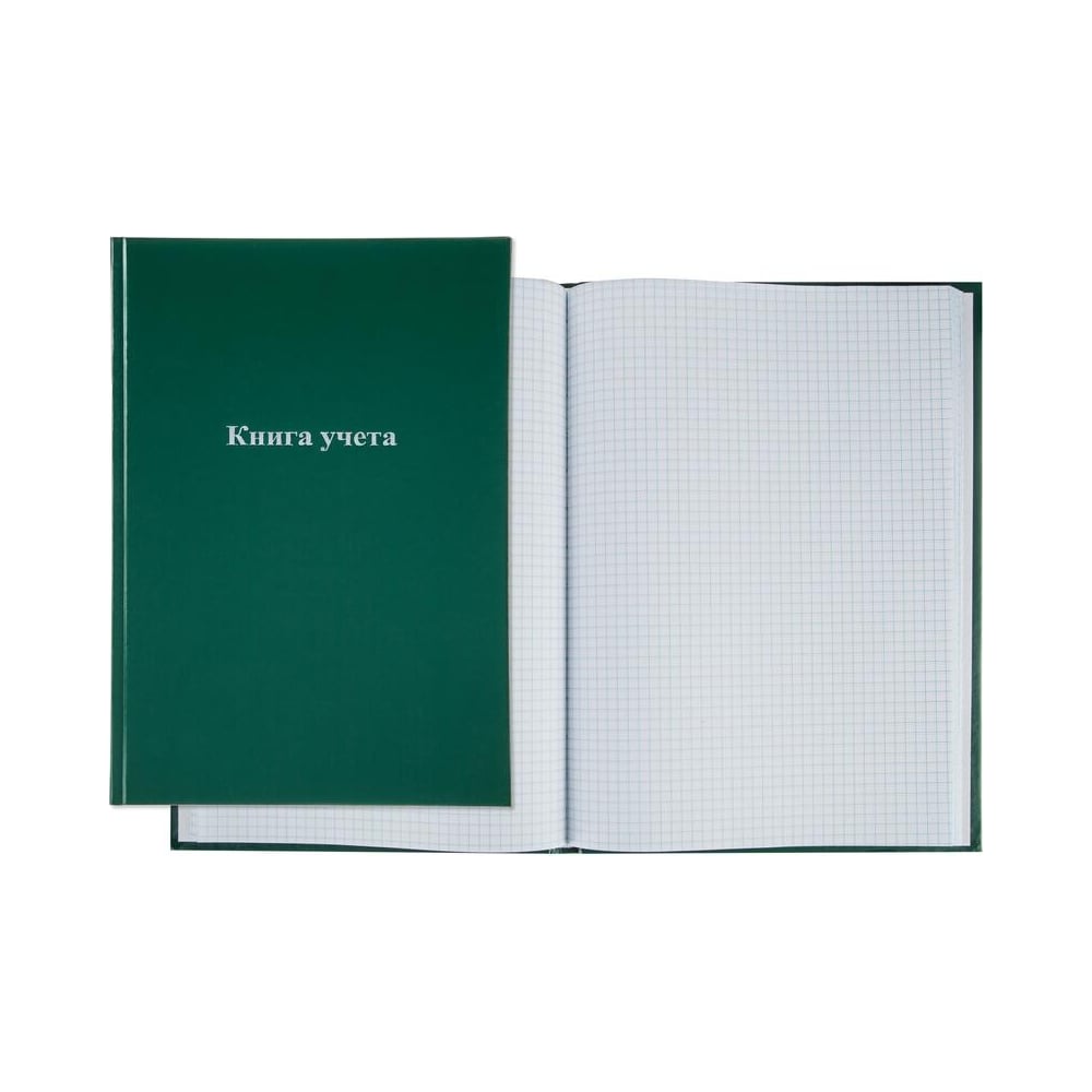 Книга учета Attache дневник для 1 4 классов к знаниям твердая обложка 7бц глянцевая ламинация 48 листов