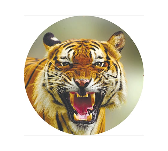 Изображение товара Чехол запасного колеса SKYWAY Тигр 2 R16/17 экокожа полиэстер S06301035