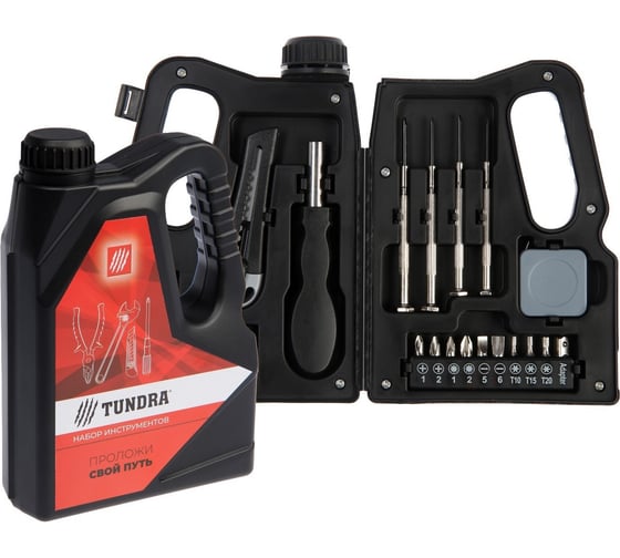 Изображение товара Набор инструментов ТУНДРА подарочный пластиковый кейс Канистра, 21 предмет 7379043
