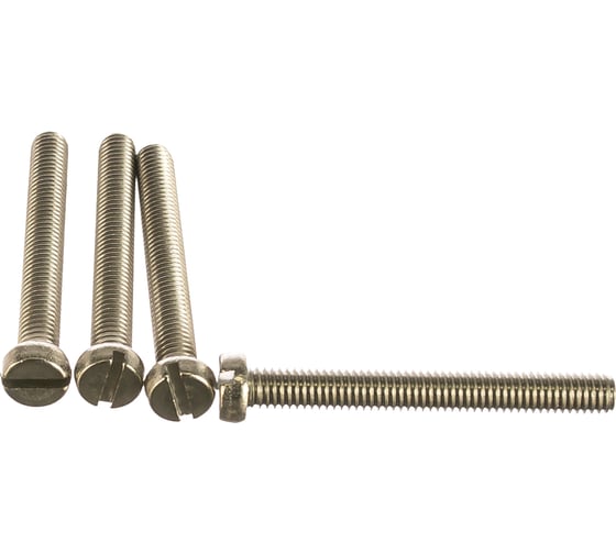 Изображение товара Винт с цилиндрической головкой, с прямым шлицем ЕВРОПАРТНЕР DIN 84 6x50 нержав. сталь 4 шт. G2 4265 1