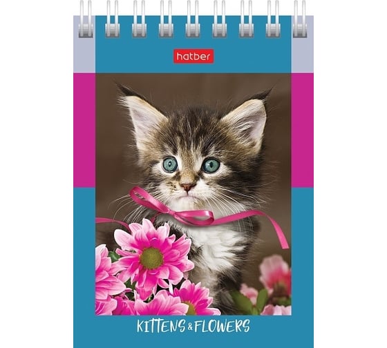 Изображение товара Блокнот Hatber На мягких лапках 60 л, А7, клетка, 65 г/кв.м, обложка мелованный картон, 78 шт в упаковке 081164