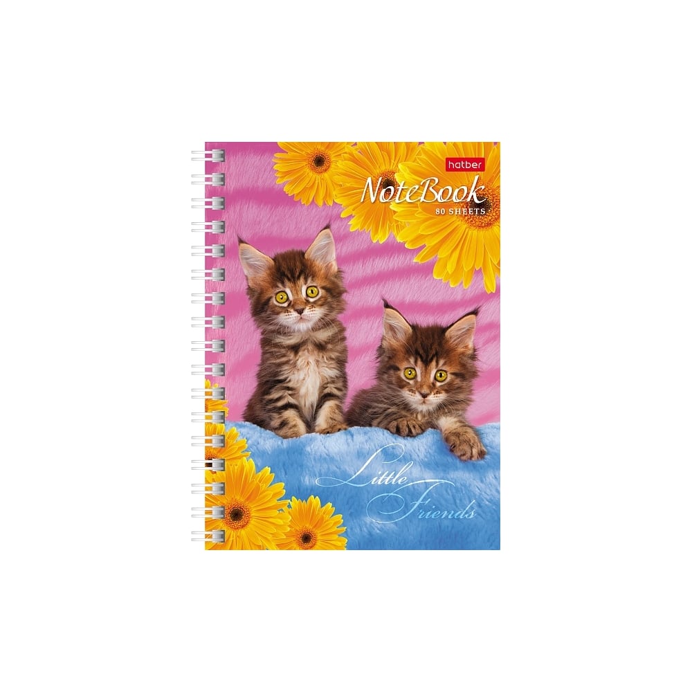 Изображение товара Записная книжка Hatber Милые Котята А6 80 листов для записей и заметок