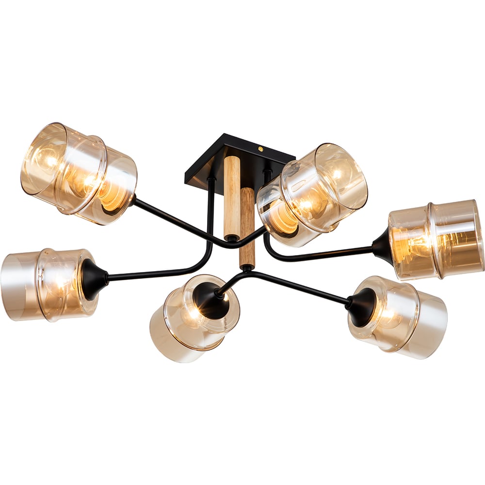 Потолочный светильник ESCADA E27*60W Black 699/6P