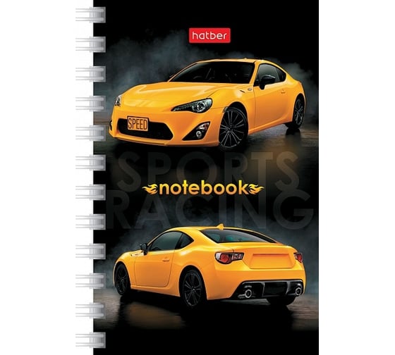 Изображение товара Записная книжка Hatber 40л А7ф 67x102мм клетка серия Автопанорама, 144шт. 043276