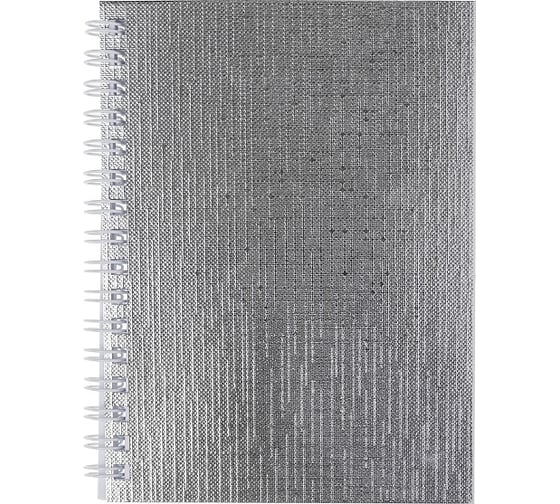 Изображение товара Записная книжка Hatber 80л А6 клетка Бумвинил METALLIC Серебро, 120шт. 059258