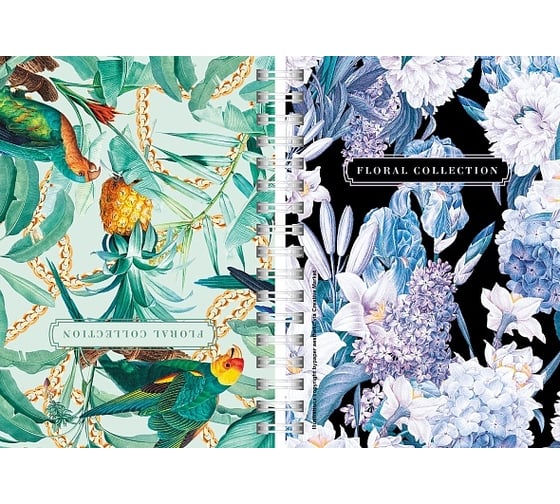 Изображение товара Записная книжка Hatber 80л А6 2х цветная клетка с твердой обложкой двойная глянцевая ламинация Floral collection, 32шт. 082841