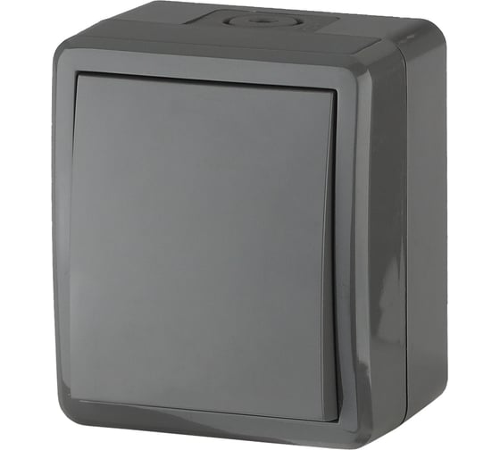 Изображение товара Выключатель ЭРА 11-1401-03 IP54, 10АХ-250В, открытой установки, Эксперт, серый Б0020670