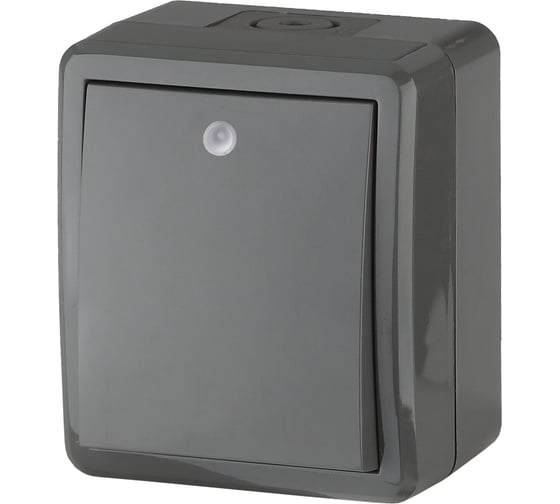 Изображение товара Выключатель с подсветкой ЭРА 11-1402-03 IP54, 10АХ-250В, ОУ, Эксперт, серый Б0020672