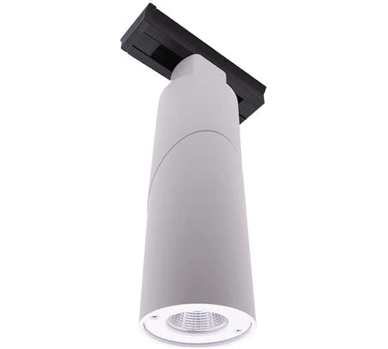 Изображение товара Трековый LED светильник DesignLed круглый, белый, 10 Вт, 3000К LDT-RWT-10W-WW (LD-3025) 00-00002440