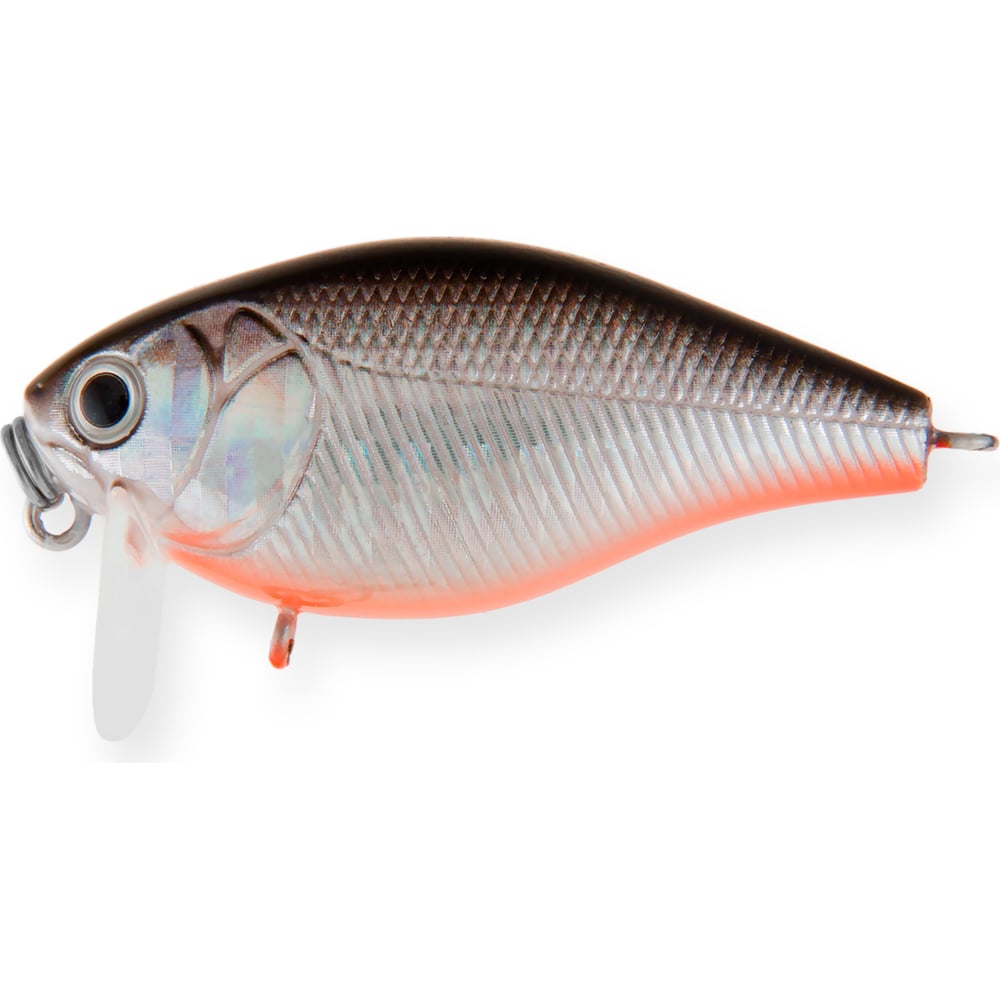 Изображение товара Воблер Strike Pro Cranky-X SS 40 цвет A70-713 Black Silver OB - крэнк для спиннинга Изображение товара Воблер Strike Pro Cranky-X SS 40 цвет A70-713 Black Silver OB - крэнк для спиннинга