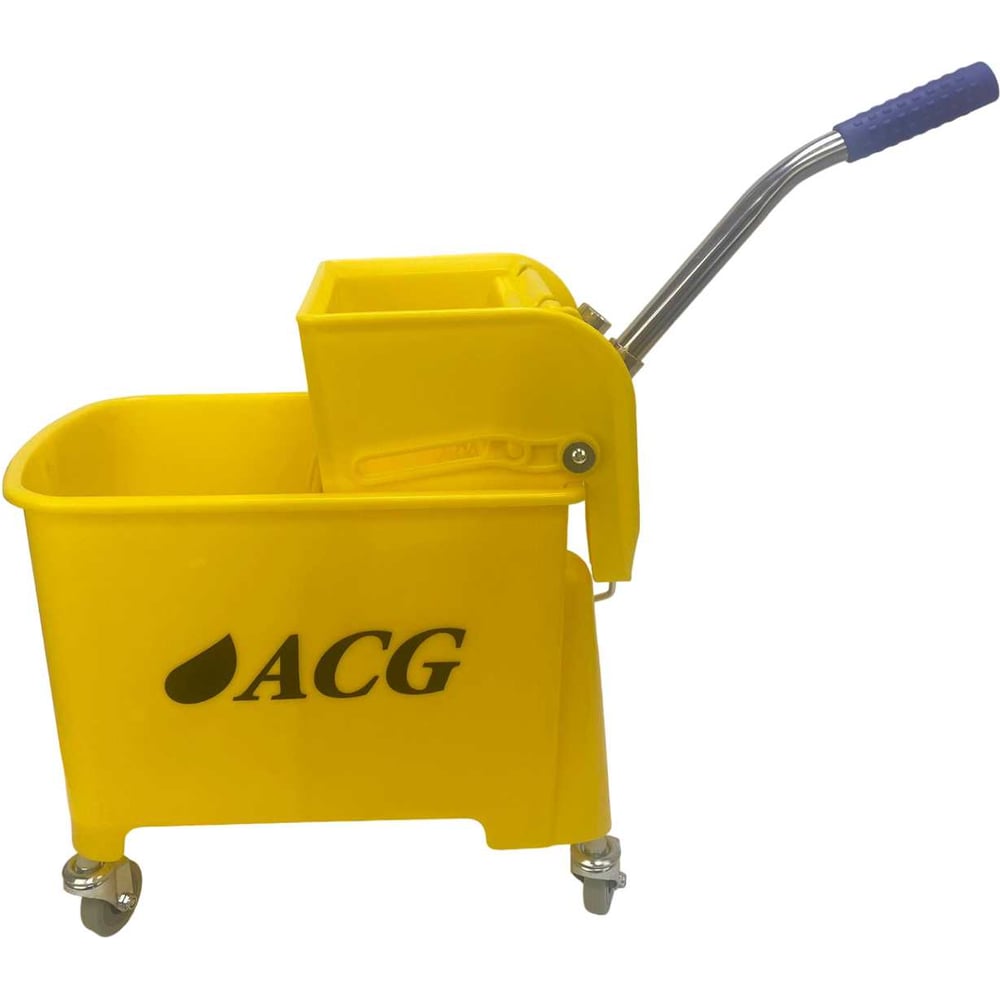 ACG 1009691